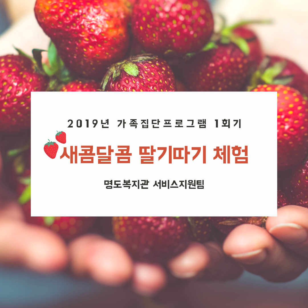 가족집단프로그램 1회기 딸기체험