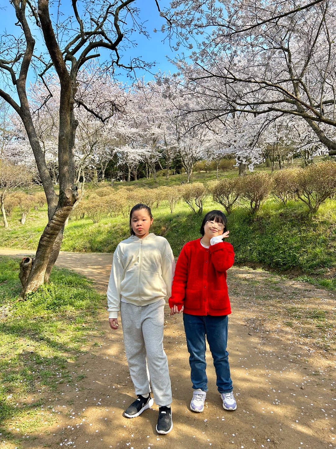 예쁜 벚꽃을 배경으로 두 이용인이 사이좋게 찍은 사진입니다.