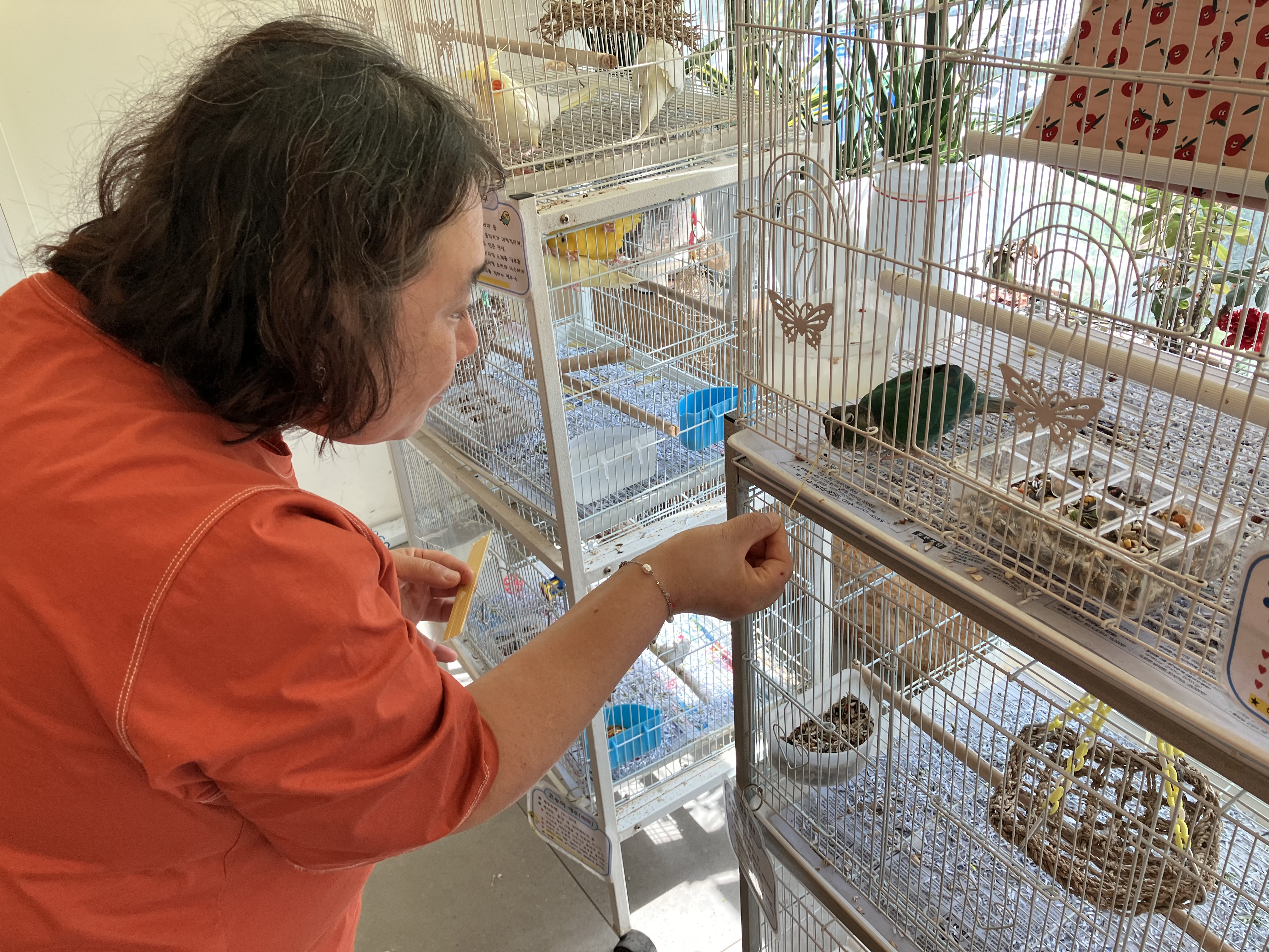 새장에 있는 앵무새에게 먹이를 주고 있는 이용인의 사진입니다.