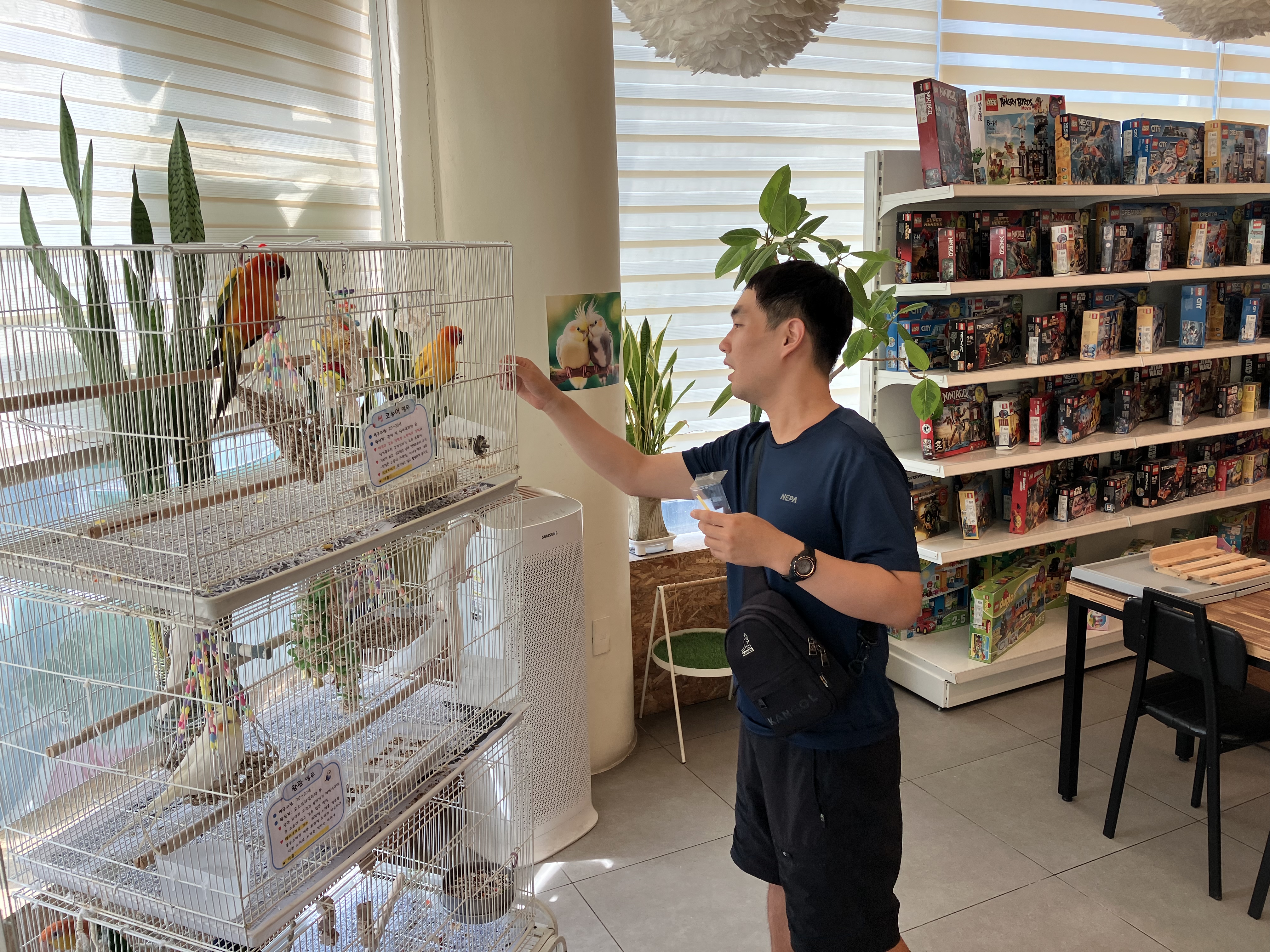 새장에 있는 앵무새에게 먹이를 주고 있는 이용인의 사진입니다.