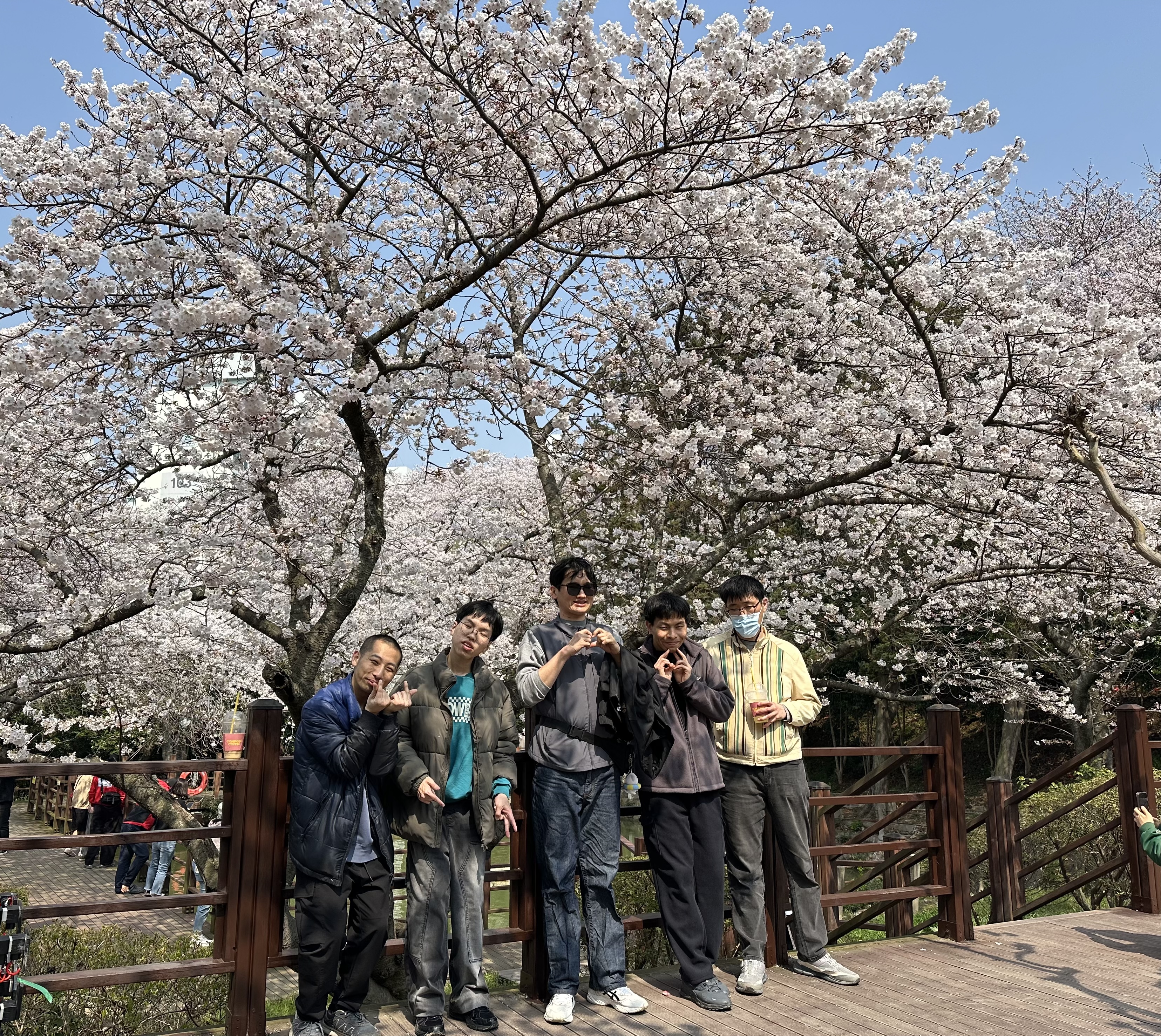 큰 벚꽃나무 앞에서 사진을 찍은 모습입니다.